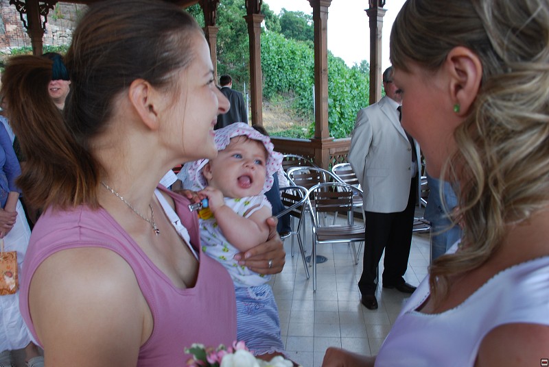 img00051.jpg