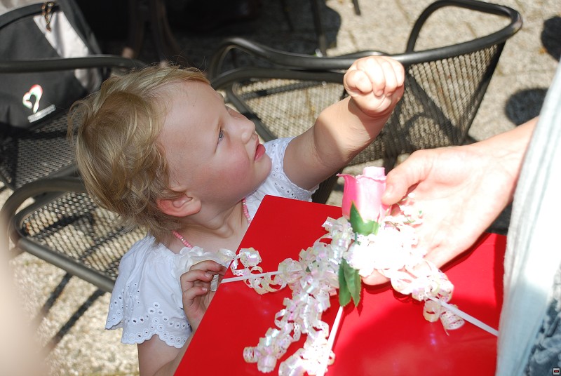 img00077.jpg