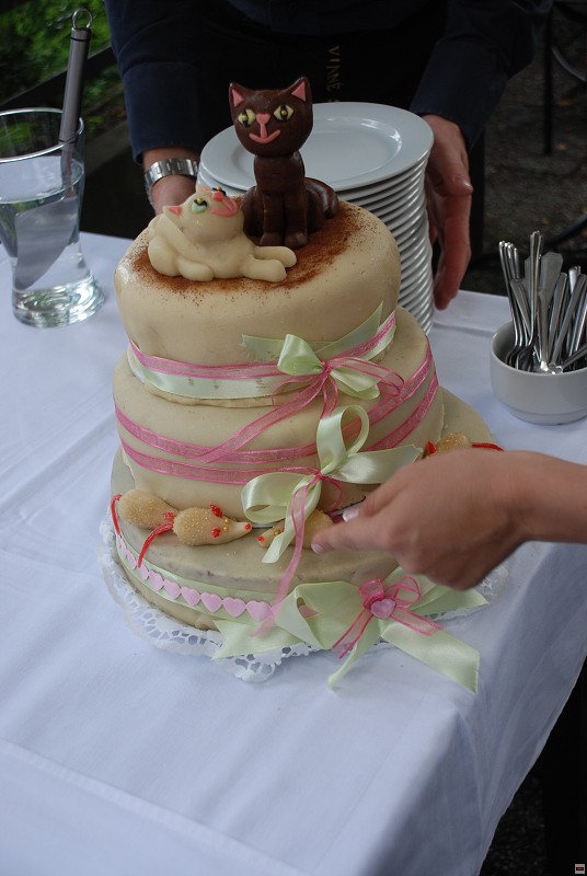 img00103.jpg