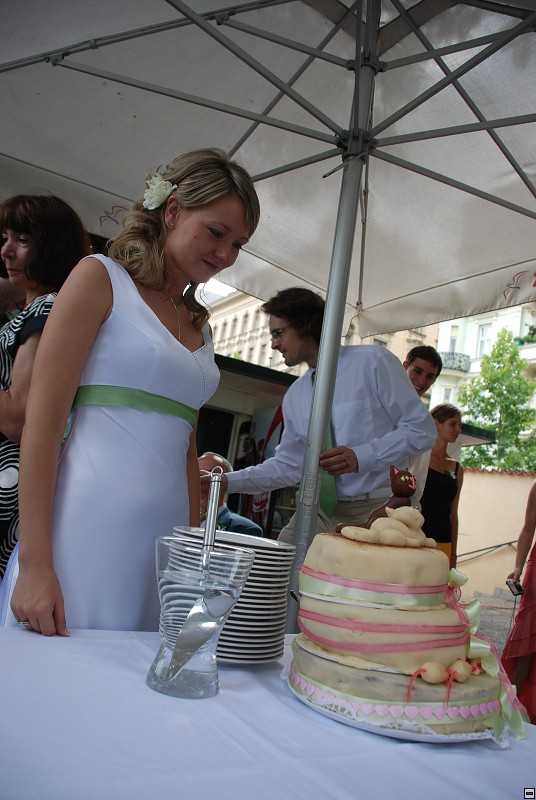 img00104.jpg