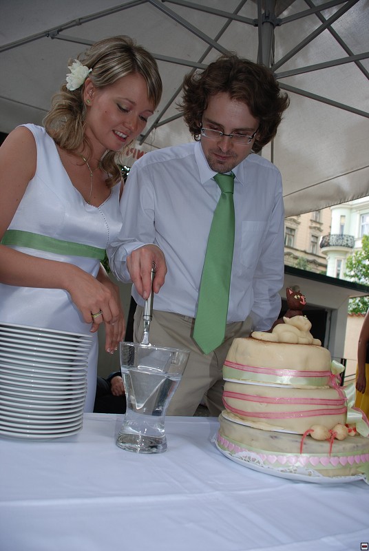 img00106.jpg