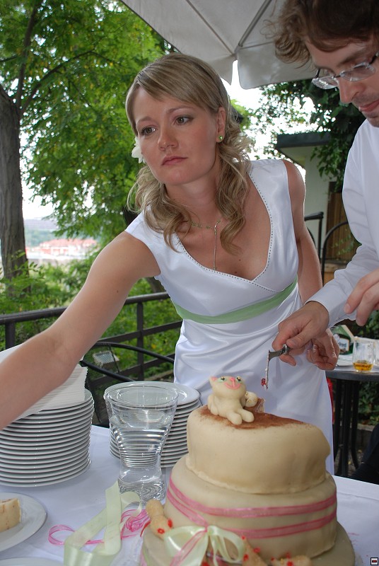 img00111.jpg
