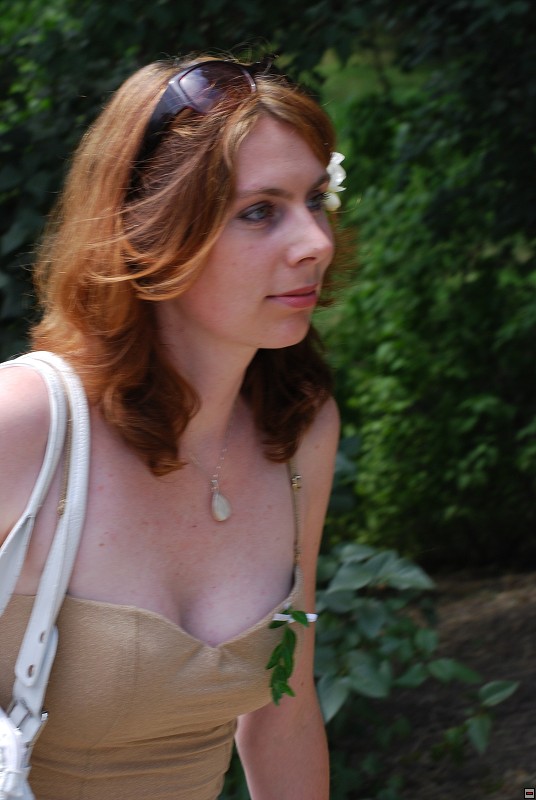 img00003.jpg